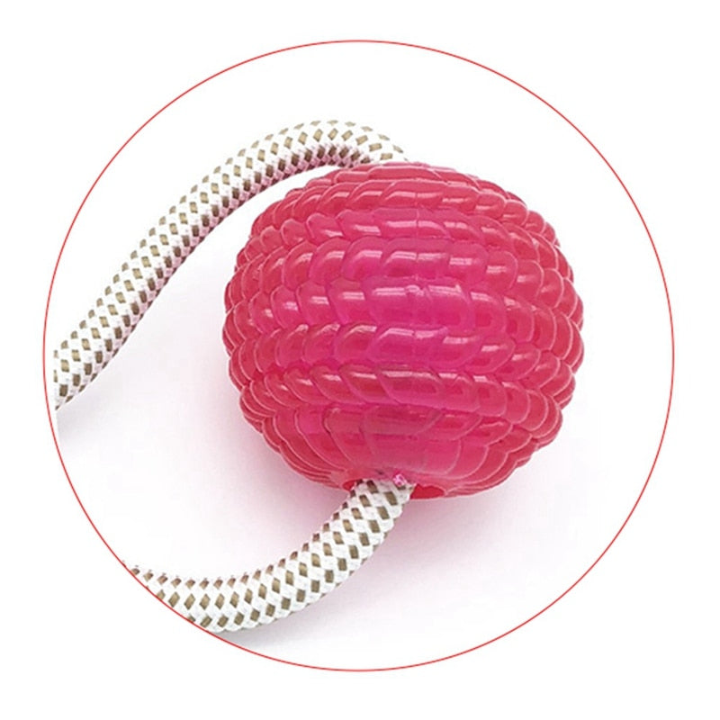 Multifunction Pet Molar Bite Toy  Interactive fun Pet toy with TPR ball Tooth Cleaning - foxberryparkproducts