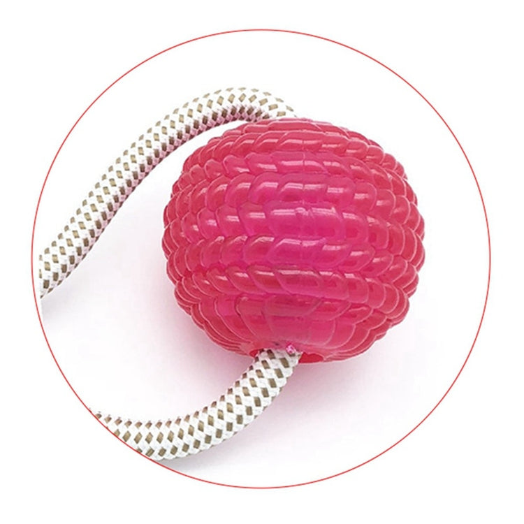 Multifunction Pet Molar Bite Toy  Interactive fun Pet toy with TPR ball Tooth Cleaning - foxberryparkproducts