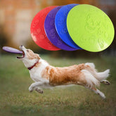 Transer Hot Fashion Pet Skull Flying Disc Rubber Frisbee Toy - foxberryparkproducts