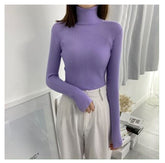 Women Turtleneck Sweaters Autumn Winter Korean Slim Pullover Women Basic Tops Casual Soft Knit Sweater Soft Warm Jumper - foxberryparkproducts