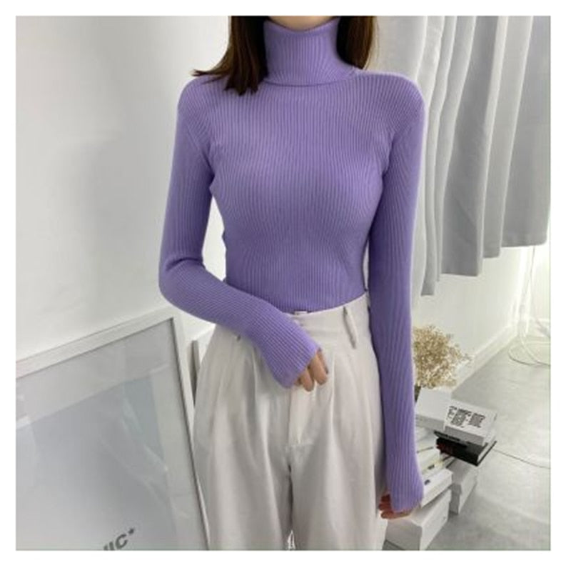Women Turtleneck Sweaters Autumn Winter Korean Slim Pullover Women Basic Tops Casual Soft Knit Sweater Soft Warm Jumper - foxberryparkproducts