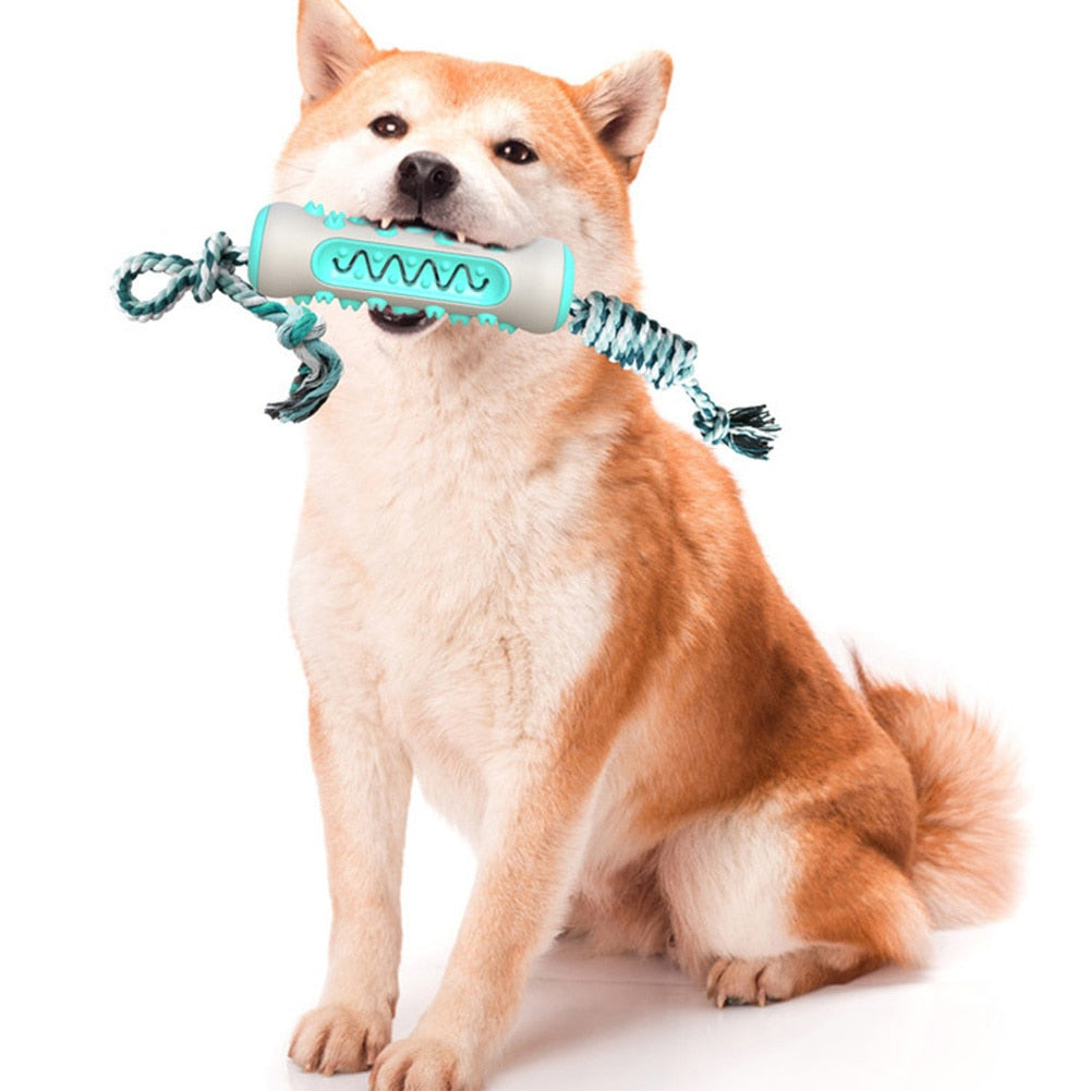 Pet Dog ToothBrush Sticker Chew Toys Pet Molar Tooth Cleaner - foxberryparkproducts
