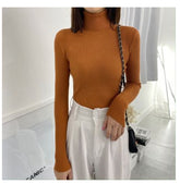 Women Turtleneck Sweaters Autumn Winter Korean Slim Pullover Women Basic Tops Casual Soft Knit Sweater Soft Warm Jumper - foxberryparkproducts