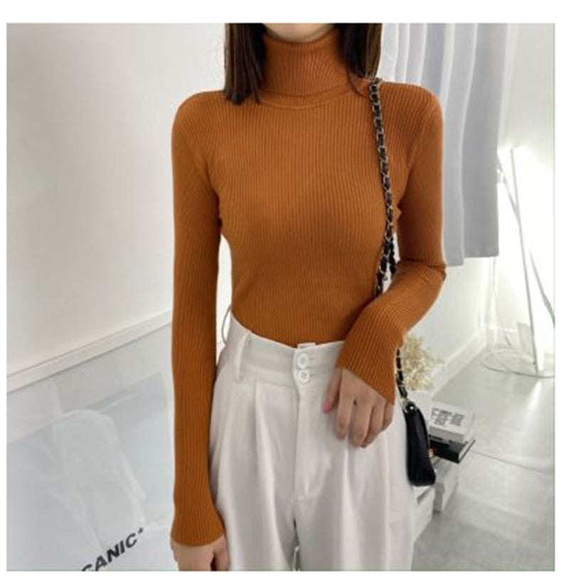 Women Turtleneck Sweaters Autumn Winter Korean Slim Pullover Women Basic Tops Casual Soft Knit Sweater Soft Warm Jumper - foxberryparkproducts