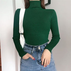 Women Turtleneck Sweaters Autumn Winter Korean Slim Pullover Women Basic Tops Casual Soft Knit Sweater Soft Warm Jumper - foxberryparkproducts