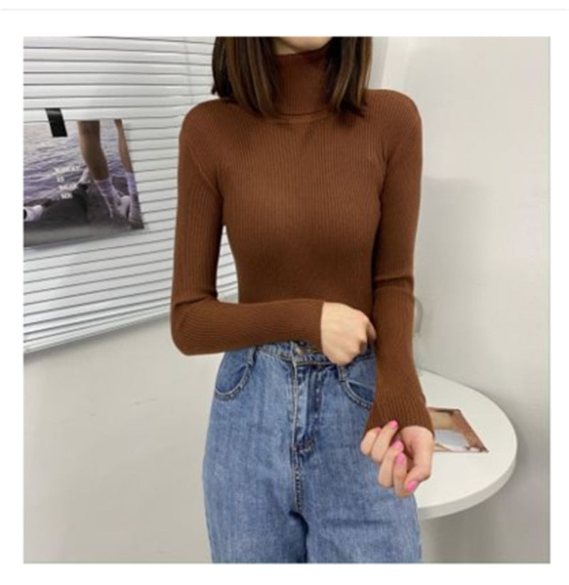 Women Turtleneck Sweaters Autumn Winter Korean Slim Pullover Women Basic Tops Casual Soft Knit Sweater Soft Warm Jumper - foxberryparkproducts