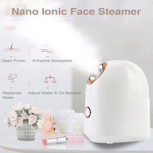 Face Steamer Facial Cleaner - foxberryparkproducts