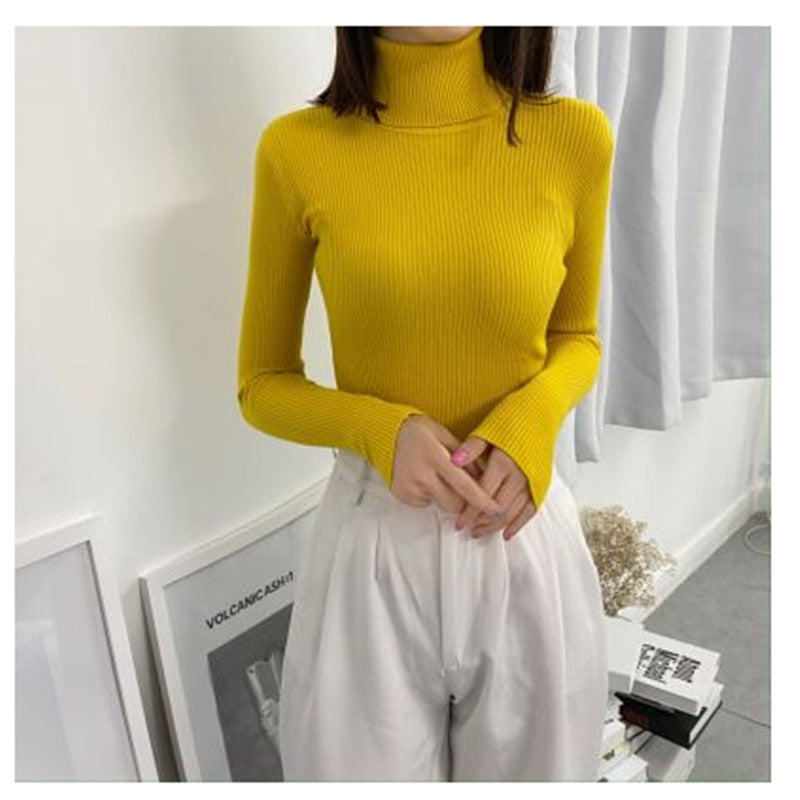 Women Turtleneck Sweaters Autumn Winter Korean Slim Pullover Women Basic Tops Casual Soft Knit Sweater Soft Warm Jumper - foxberryparkproducts