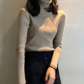 Women Turtleneck Sweaters Autumn Winter Korean Slim Pullover Women Basic Tops Casual Soft Knit Sweater Soft Warm Jumper - foxberryparkproducts
