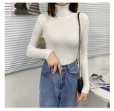 Women Turtleneck Sweaters Autumn Winter Korean Slim Pullover Women Basic Tops Casual Soft Knit Sweater Soft Warm Jumper - foxberryparkproducts