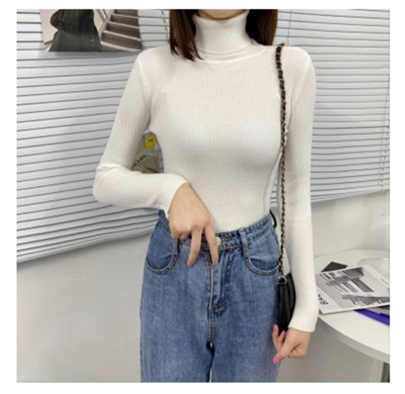 Women Turtleneck Sweaters Autumn Winter Korean Slim Pullover Women Basic Tops Casual Soft Knit Sweater Soft Warm Jumper - foxberryparkproducts