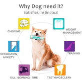 Pet Dog ToothBrush Sticker Chew Toys Pet Molar Tooth Cleaner - foxberryparkproducts