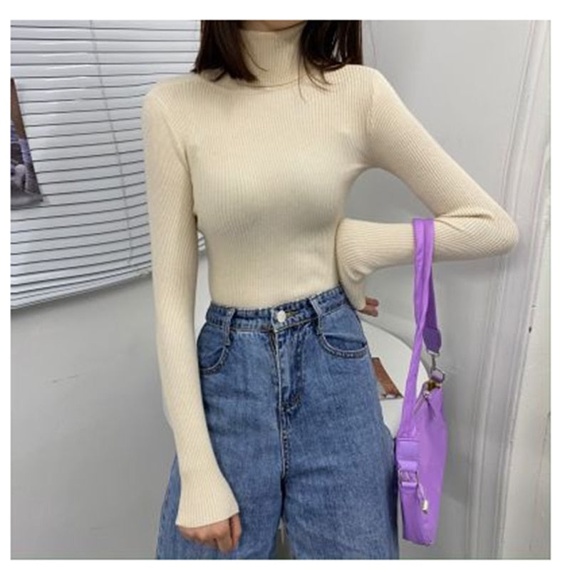 Women Turtleneck Sweaters Autumn Winter Korean Slim Pullover Women Basic Tops Casual Soft Knit Sweater Soft Warm Jumper - foxberryparkproducts