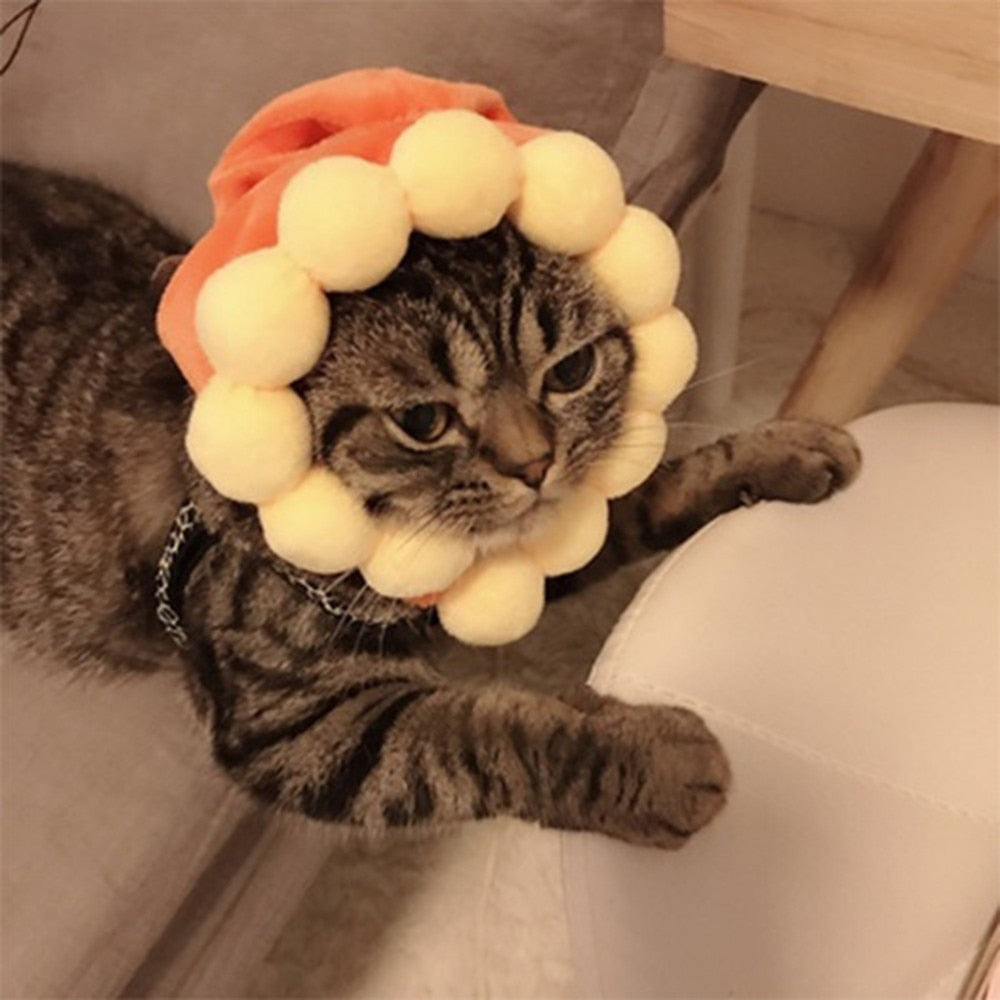 Cotton Pet Hat Decorative Party Pet Cap - foxberryparkproducts