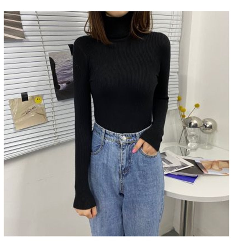 Women Turtleneck Sweaters Autumn Winter Korean Slim Pullover Women Basic Tops Casual Soft Knit Sweater Soft Warm Jumper - foxberryparkproducts