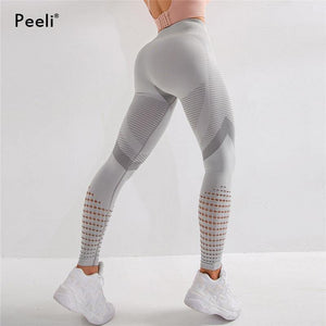 Peeli High Waist Seamless Leggings Yoga Pants - foxberryparkproducts