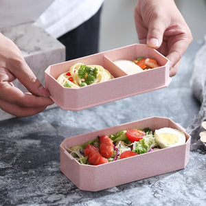 Two Layer Lunch Box with Utensils - foxberryparkproducts