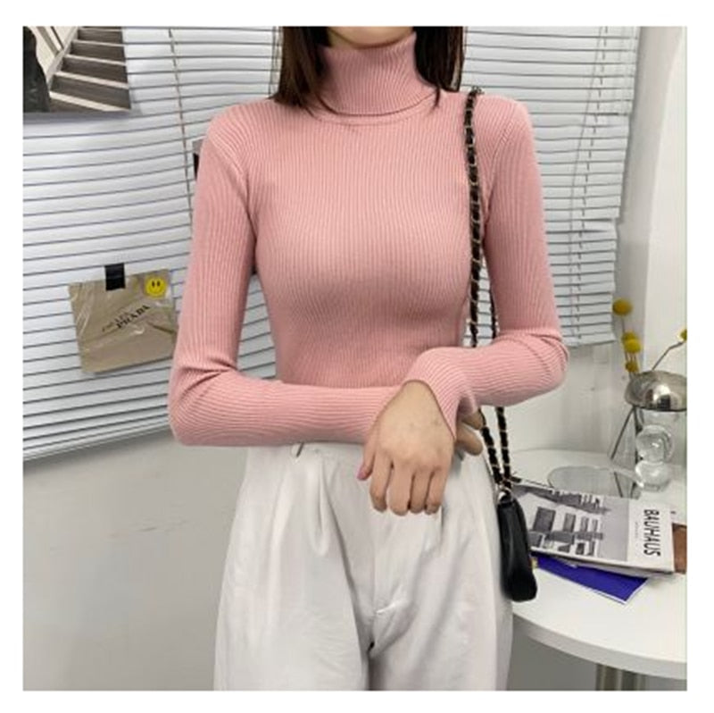 Women Turtleneck Sweaters Autumn Winter Korean Slim Pullover Women Basic Tops Casual Soft Knit Sweater Soft Warm Jumper - foxberryparkproducts