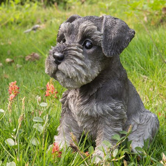 Sitting Schnauzer Puppy Statue Resin Lawn Sculpture
