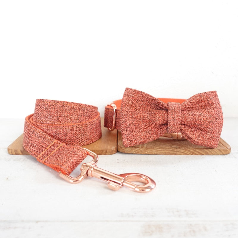 MUTTCO handmade puppy collar THE ORANGE SUIT gentleman pet products personalized ID leash - foxberryparkproducts