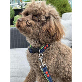 Navy denim & Neon dog leash with red studs - foxberryparkproducts