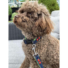Load image into Gallery viewer, Navy denim &amp; Neon dog leash with red studs - foxberryparkproducts

