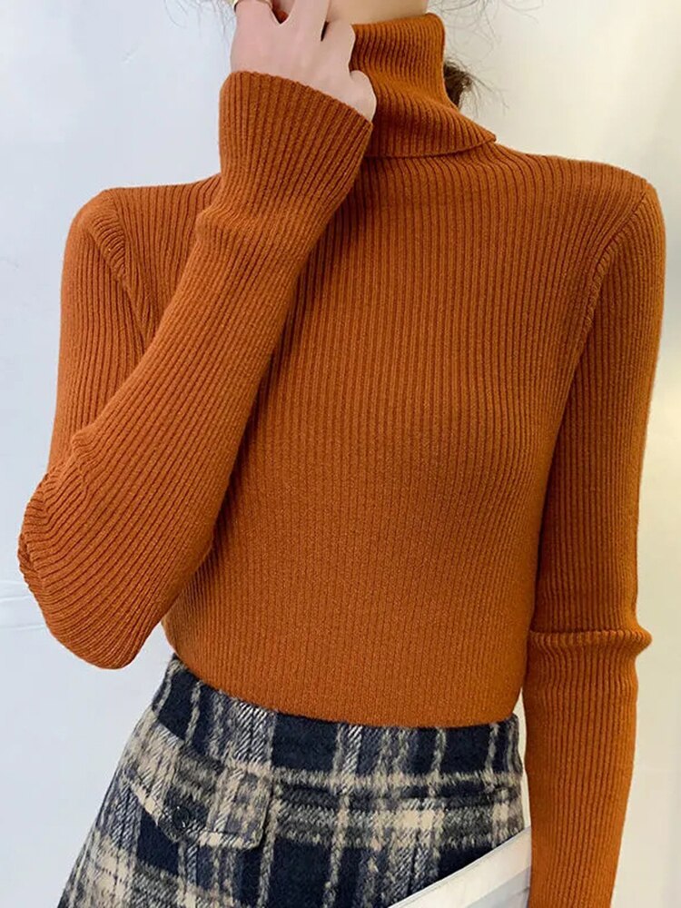 Women Turtleneck Sweater 2022 Autumn Winter Sloid Color Cashmere Sweaters - foxberryparkproducts