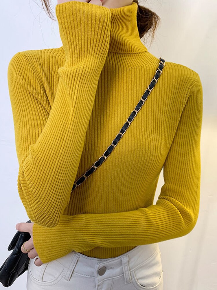 Women Turtleneck Sweater 2022 Autumn Winter Sloid Color Cashmere Sweaters - foxberryparkproducts