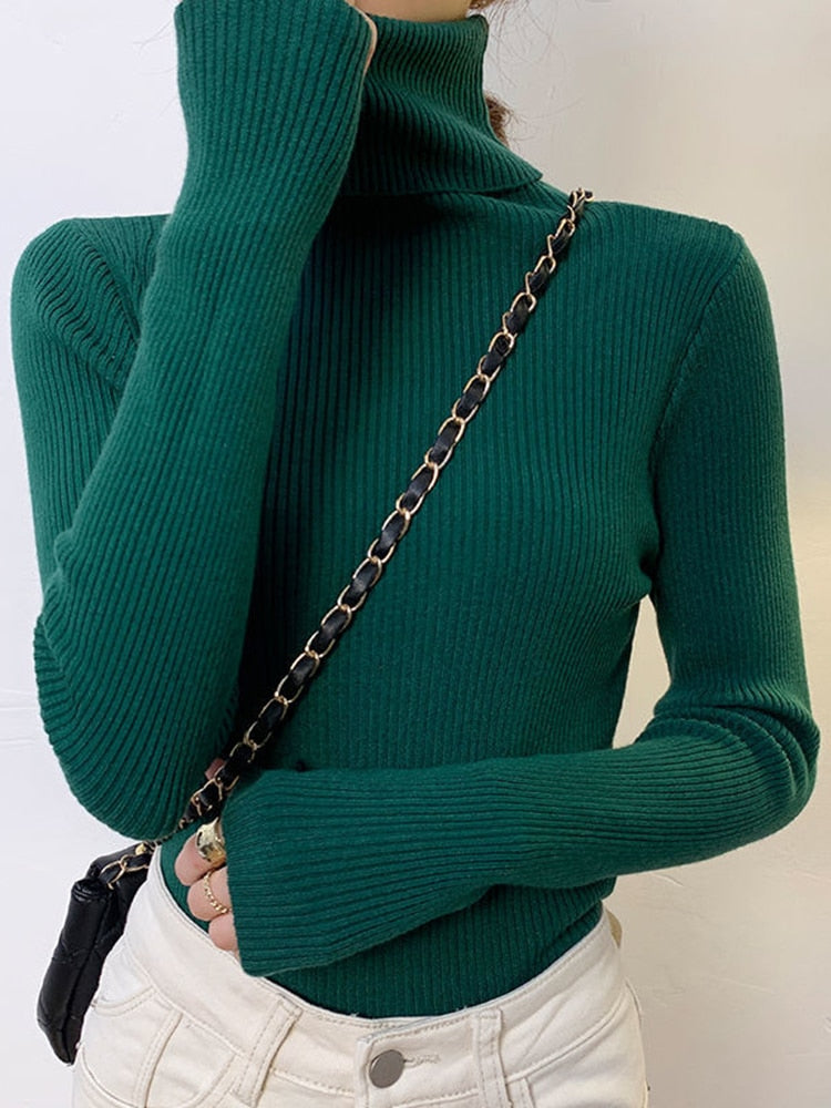 Women Turtleneck Sweater 2022 Autumn Winter Sloid Color Cashmere Sweaters - foxberryparkproducts