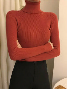 Women Turtleneck Sweater 2022 Autumn Winter Sloid Color Cashmere Sweaters - foxberryparkproducts