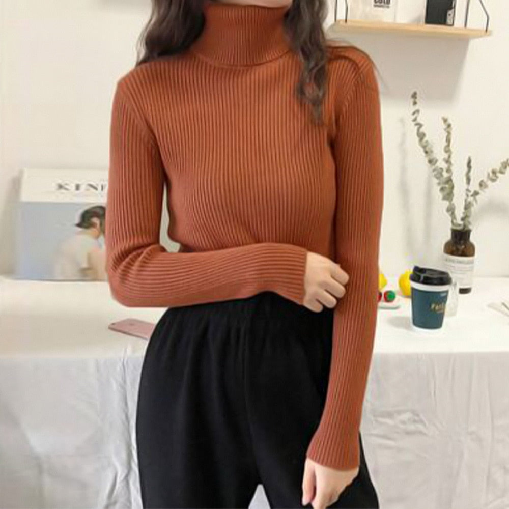 Women Turtleneck Sweater 2022 Autumn Winter Sloid Color Cashmere Sweaters - foxberryparkproducts