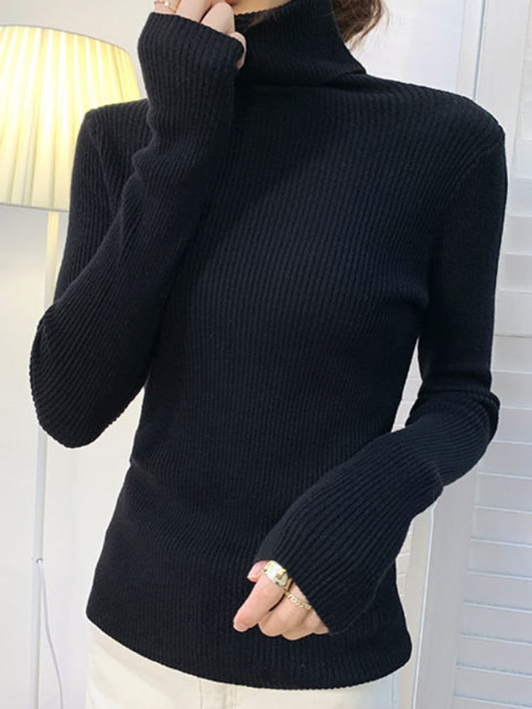 Women Turtleneck Sweater 2022 Autumn Winter Sloid Color Cashmere Sweaters - foxberryparkproducts