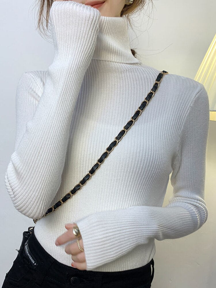 Women Turtleneck Sweater 2022 Autumn Winter Sloid Color Cashmere Sweaters - foxberryparkproducts