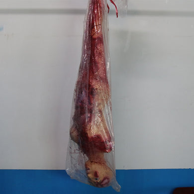 Latex Scary Corpse 160 Size Plus Size Halloween Decoration Decorative tricky simulation skeleton mummy - foxberryparkproducts