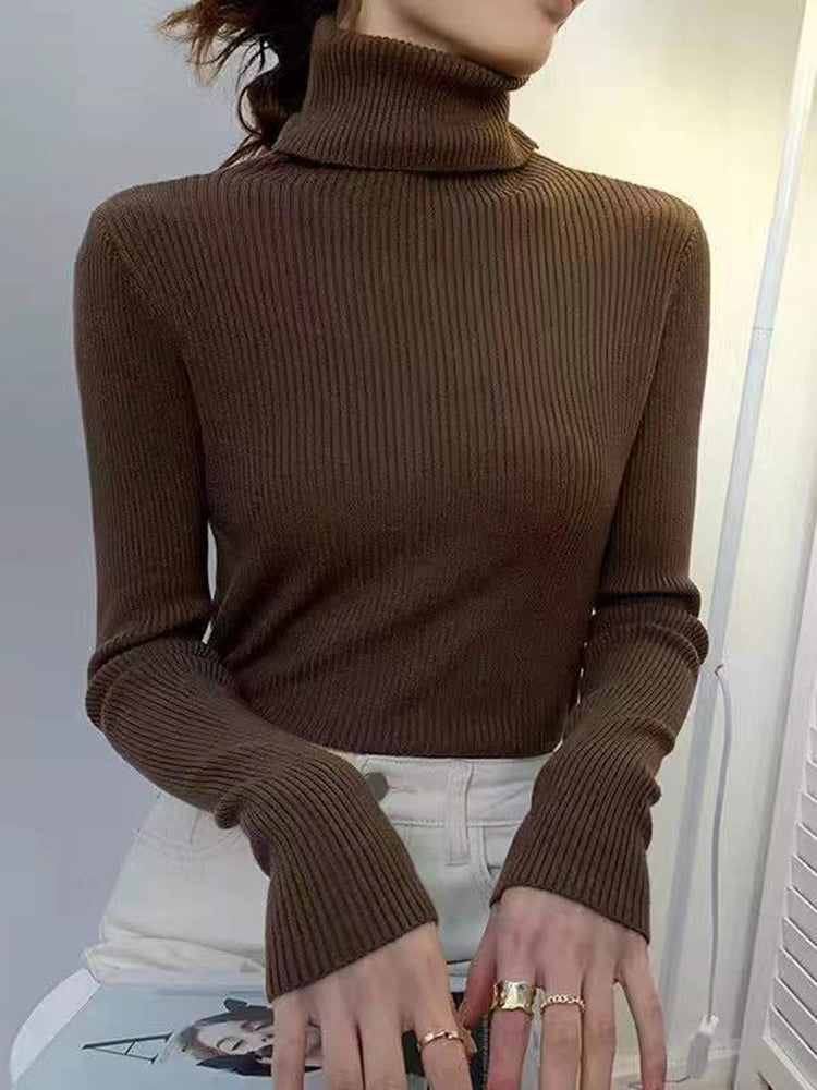 Women Turtleneck Sweater 2022 Autumn Winter Sloid Color Cashmere Sweaters - foxberryparkproducts