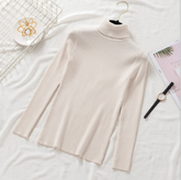 Pullover Women Knitted Turtleneck Sweater - foxberryparkproducts
