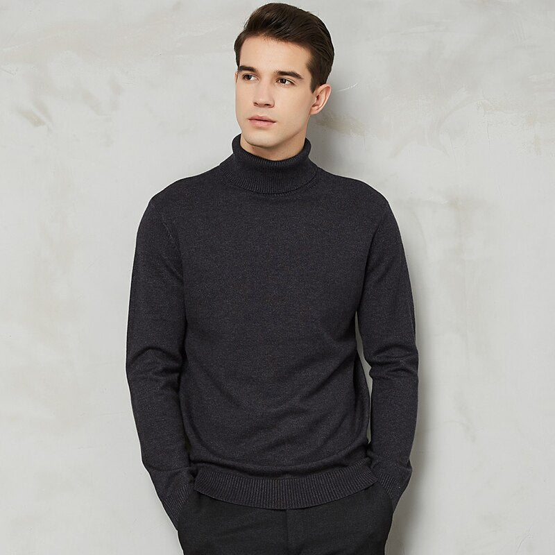 Handsome 8 Color Turtleneck Sweater - foxberryparkproducts