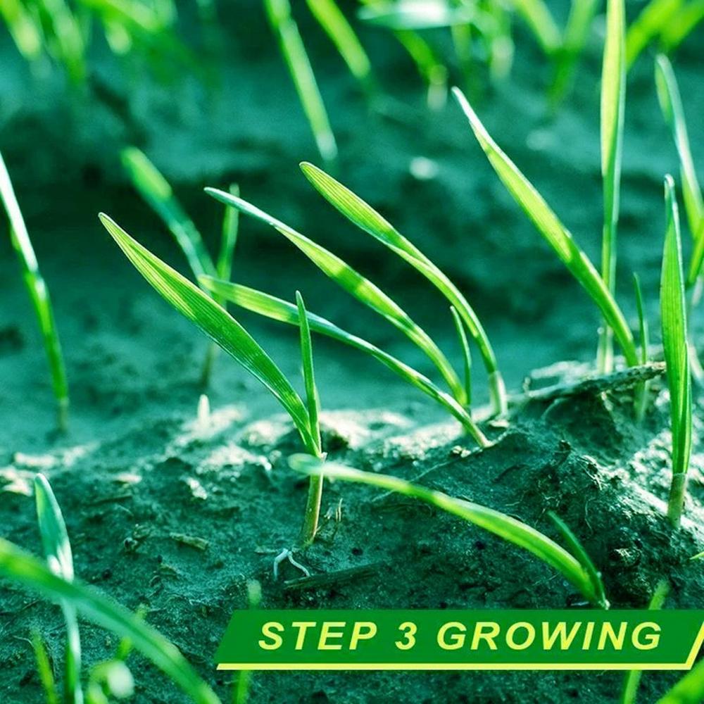 20×300cm Lawn blanket Grass Seed Mat Fertilizer Garden Picnic Gardening Lawn Planting Mat 2020 Hot Sale Dropping Garden Supplies - foxberryparkproducts