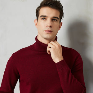 Handsome 8 Color Turtleneck Sweater - foxberryparkproducts