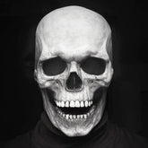 Full Head Skull Skeleton Mask Halloween Costume - foxberryparkproducts