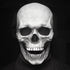 Full Head Skull Skeleton Mask Halloween Costume - foxberryparkproducts