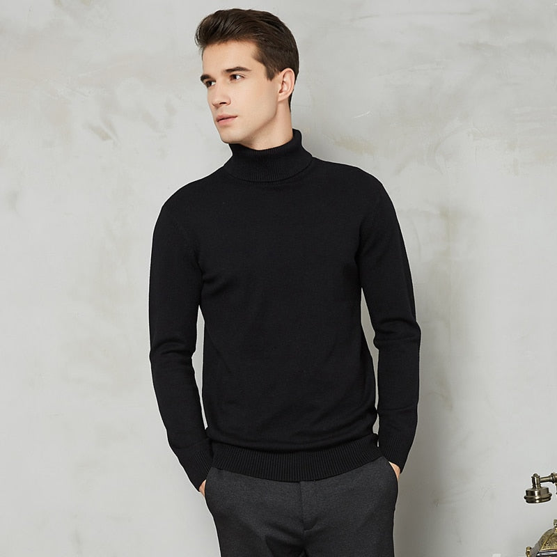 Handsome 8 Color Turtleneck Sweater - foxberryparkproducts