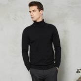 Handsome 8 Color Turtleneck Sweater - foxberryparkproducts