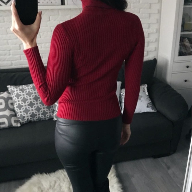 Pullover Women Knitted Turtleneck Sweater - foxberryparkproducts