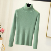 Pullover Women Knitted Turtleneck Sweater - foxberryparkproducts