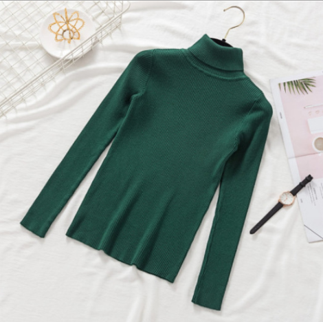 Pullover Women Knitted Turtleneck Sweater - foxberryparkproducts
