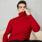 Handsome 8 Color Turtleneck Sweater - foxberryparkproducts
