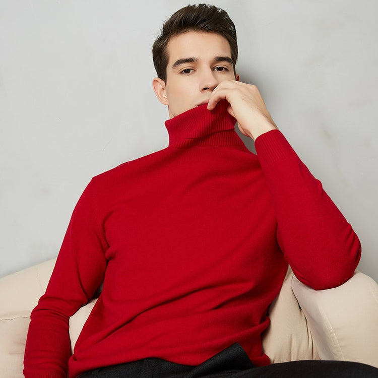 Handsome 8 Color Turtleneck Sweater - foxberryparkproducts