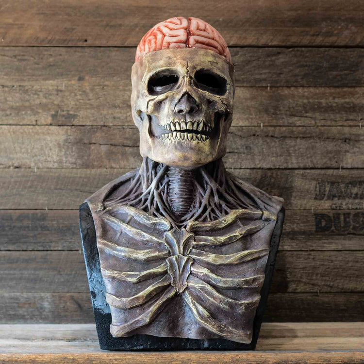 Full Head Skull Skeleton Mask Halloween Costume - foxberryparkproducts