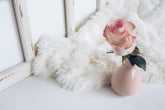 Fluffy Lambskin Rug. - foxberryparkproducts
